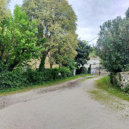 Apartament Casina Gentili Perugia Zewnętrze zdjęcie